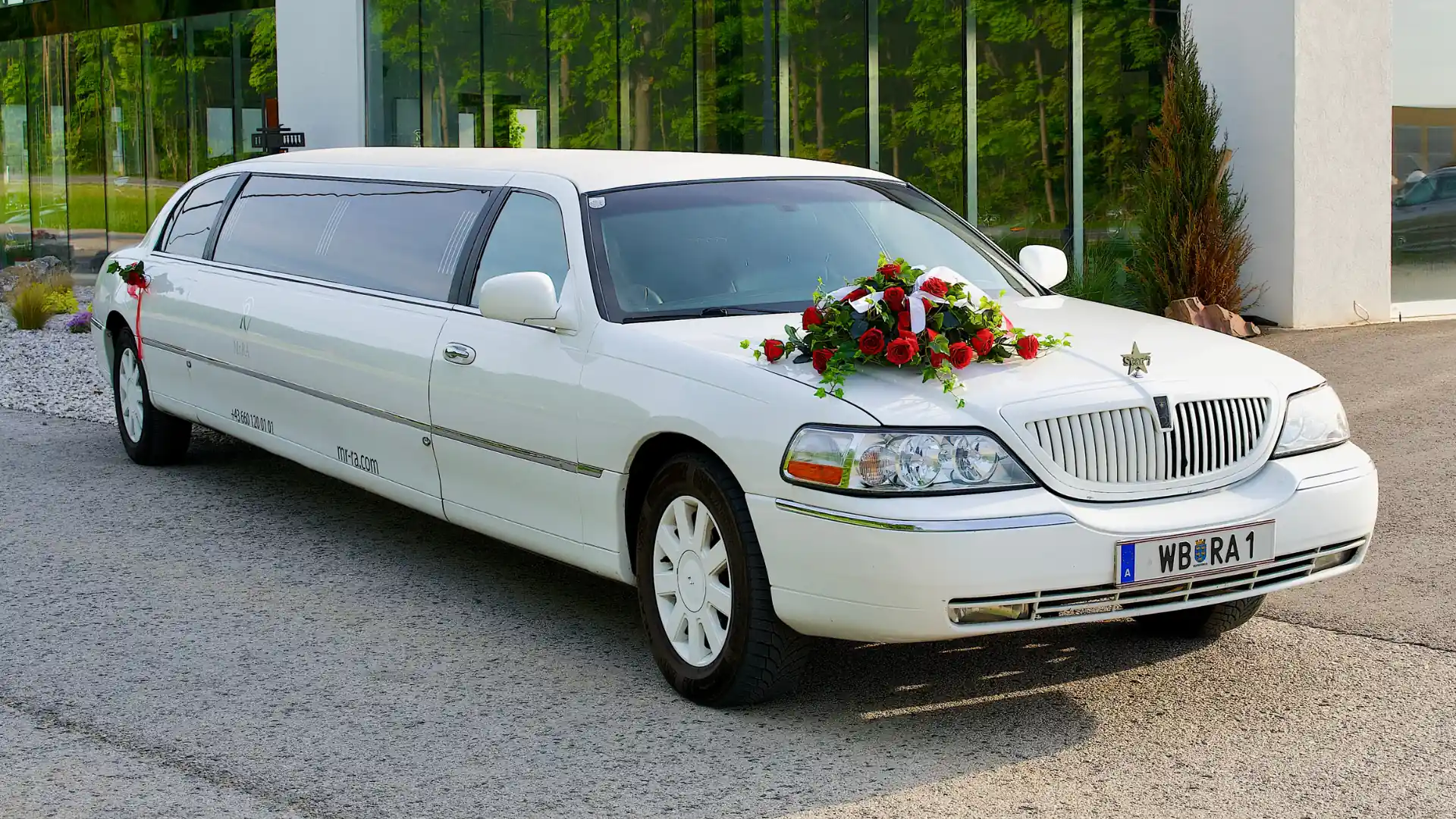 Hochzeitslimo - Luxuriöse Innenausstattung